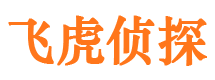 德格侦探公司